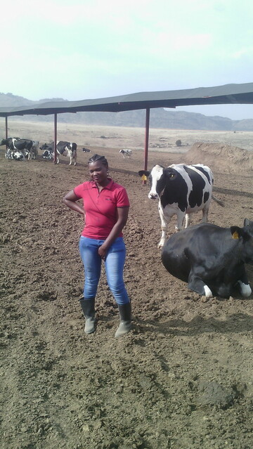 idaah, 29 Harrismith, Free State, South Africa