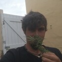 Luke GreenThumb Gallery Photo 5