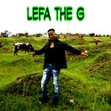 lefa8 Gallery Photo 3